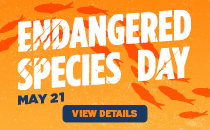 Endangered Species Day