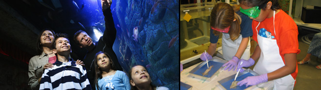 Family enjoying the aquarium