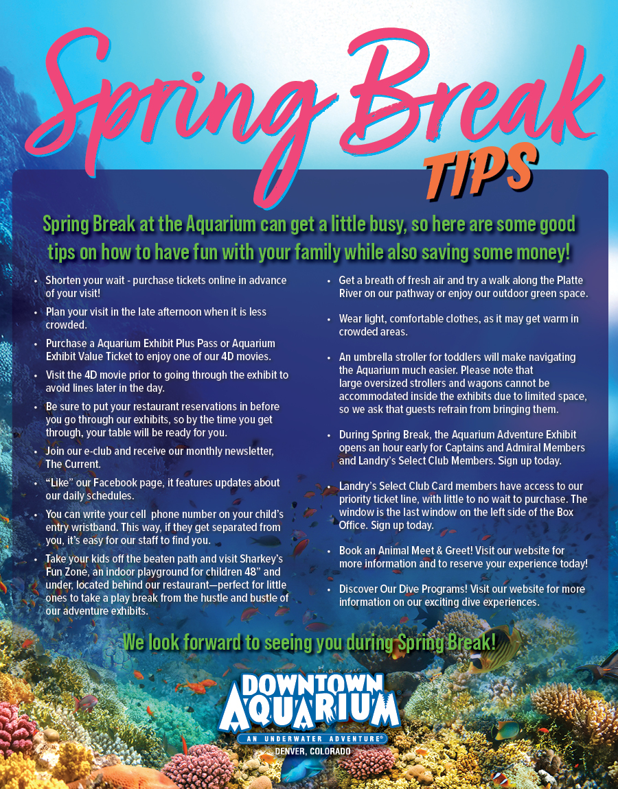 Spring Break Tips