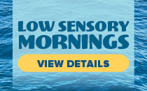 low sensory