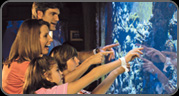 Family Programs
