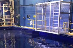 The shark cage Shark Cage Experience